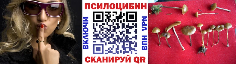 Купить  Черноголовка  Псилоцибиновые грибы GOLDEN TEACHER 